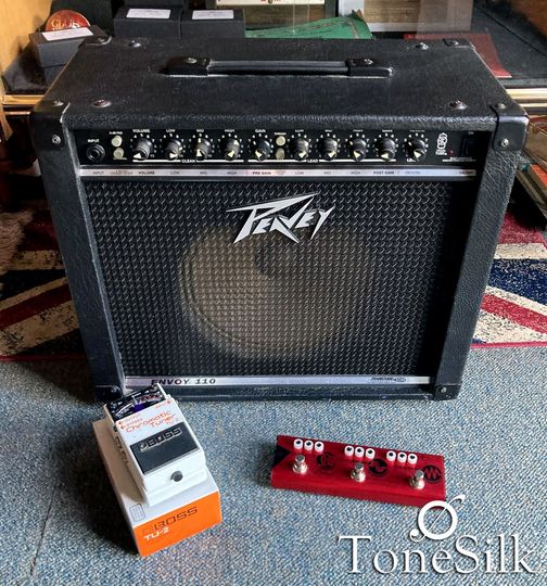 Peavey Envoy Boss TU2